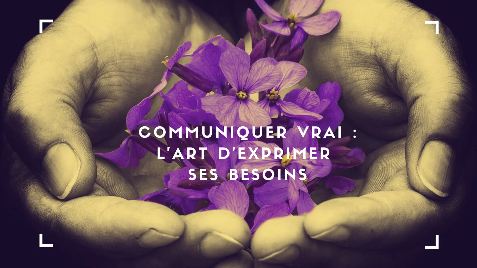 illustration article communication authentique